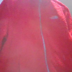 The North Face womens Jacket